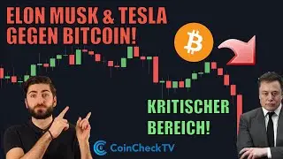 Bullenmarkt vorbei? Tesla & Elon Musk wenden sich gegen BITCOIN! Kritischer Bereich erklärt