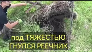Железная поляна скрывалась в кустах!