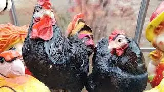 Маленькие прелести сада😀