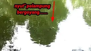 MEMANCING IKAN LELE SEBELUM ROMADHON