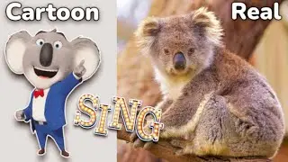 Sing characters in real life 💥