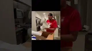 Marine Veteran Gets Emotional Over Custom Plush of his Passed Dog | MyPetsies©
