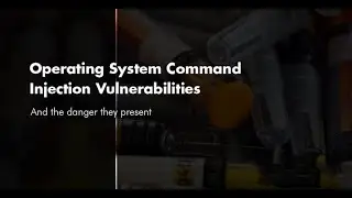 OS command injection, simple case (Video Solution) | 2020 -2021