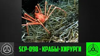 SCP-098 - Крабы-хирурги 【СТАРАЯ ОЗВУЧКА】