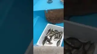 29 Kasım 2023