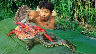 Dig the bamboo found turtles and snake. cooking turtles and snake
