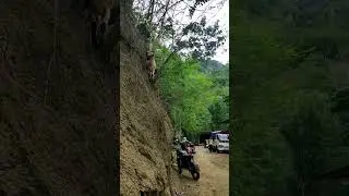 Goats Extreme Climbing Skills