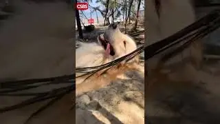 Успевайте насладиться тёплыми летними деньками  