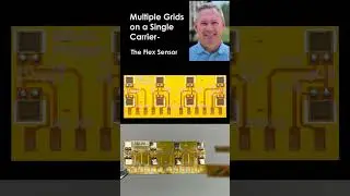 Multiple grids on a single carrier (Flex Sensor)