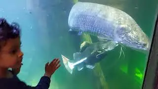 Day Trip to Universeum, Gothenburg, Sweden #Family  Day out with Kid