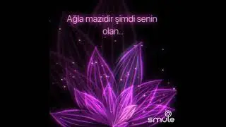 Yaralı Kalbim