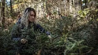Foraging & My First Motorcycle