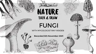 FUNGI with Ray Woods