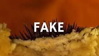 Carne Doce - Fake (Libras e letra)