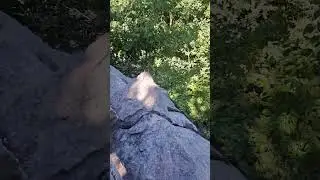 look for something