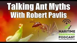 MGP E102: Talking Ant Myths with Robert Pavlis
