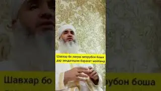 МАВЛАВИ БОХТАРИ барои нав Домодо