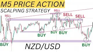 M5 Price Action Scalping Strategy | Price Action Trading Strategies