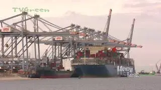 Rotterdam Seaport: Ultra Large Container ship - MOL Triumph
