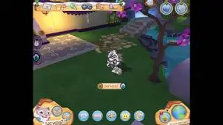 Animal jam play wild......@_@......Снежный барс