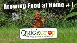 Growing Food at Home # 1
