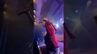 WILLMAN LIVE