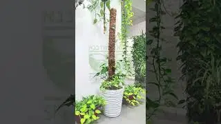 Тотем для растений. 