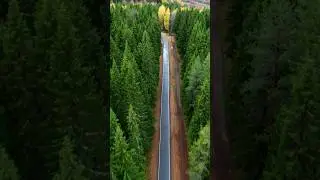 осень 
