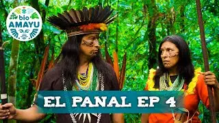 ¡Los KICHWAS al RESCATE! | Ep 4 - Serie el PANAL | BIO AMAYU