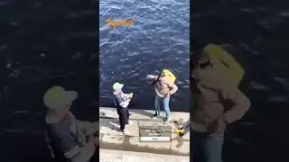 Яндедкс Доставка уже не та) #music #remix #legalnyi #яндекс #топ