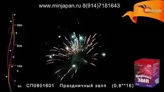 СП0801601 Праздничный залп