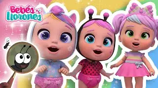 ¡Hormigas por Toda la Clase! 🐜🔍 BEBÉS LLORONES 💧 NUEVA Temporada 7 | Capítulo de DIBUJOS para NIÑOS