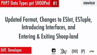 8fold Shoop 1 (diff): Data types, interfaces, and Shoop-land, oh my