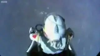 WRRRRRRAAAAAAAAAAAAAA