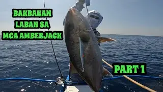 Amberjacks Part l