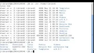 Linux Command (Clear)