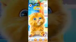 SHORTS TALKING GINGER #279