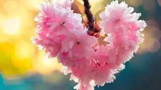 🍒💎💫Что он думает о тебе в эту самую минуту🍒