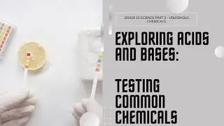 Testing Household Chemicals - Acid or Base?
