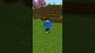 o certo é sempre adotar #dima #minecraft #shorts
