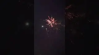 Новый год 2024 🎄