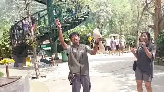 Jakarta Bird Land Ancol | Wahana Terbaru di Ancol Jakarta
