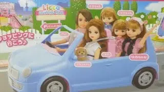 Happy Doll family car educational toy