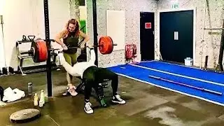 LIVE🔴LIFTS: How To Safely Prepare For One Rep-Max. Part 2…📝