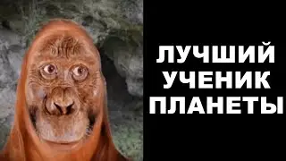 Какая твоя оценка?