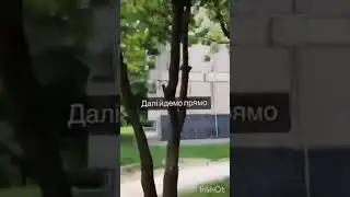 Волонтерська організація “Разом ми сила”