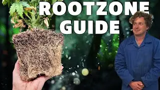 The Surprising Truth About Rootzones and Cannabis Potency