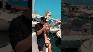 Cheb Walid & Hichem Smati 🎹 Hyati Fatet Delma 💔