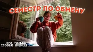 Первая неделя в Киле / Учеба по обмену