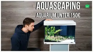 AQUASCAPE AQUARIUM FOR UNDER €150.00 | Aquascaping explained step by step | GarnelenTv